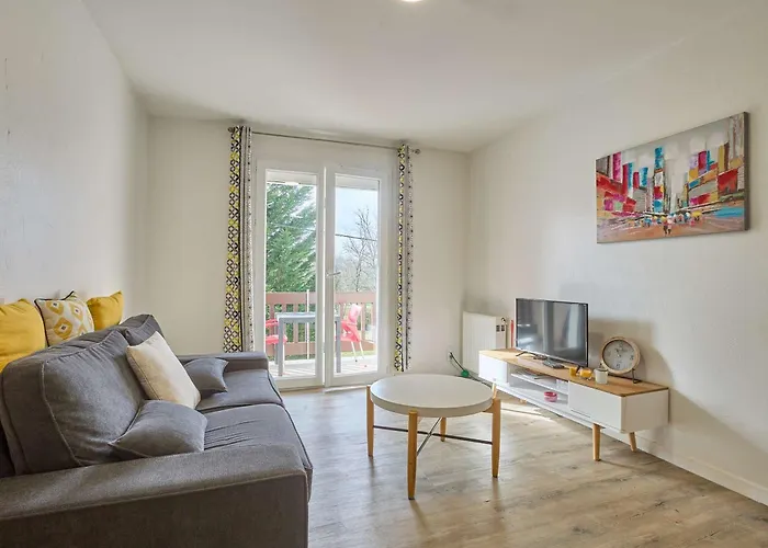 Daire Spacieux T2 Renove Avec Balcon, Wifi Et Animaux Admis A - Fr-1-841-54