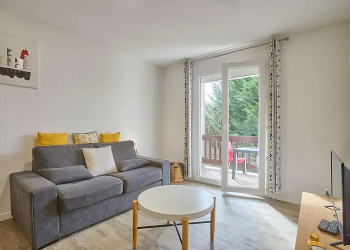 Daire Spacieux T2 Renove Avec Balcon, Wifi Et Animaux Admis A - Fr-1-841-54 *