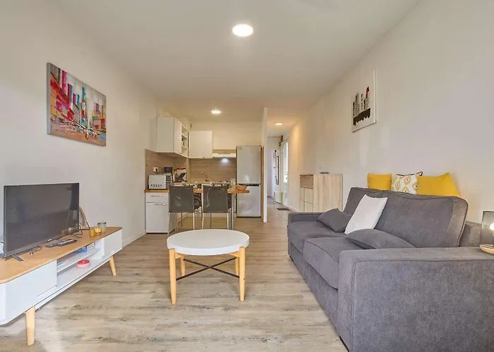 Spacieux T2 Renove Avec Balcon, Wifi Et Animaux Admis A - Fr-1-841-54 Daire