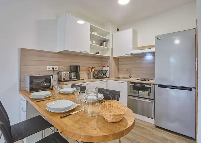 Daire Spacieux T2 Renove Avec Balcon, Wifi Et Animaux Admis A - Fr-1-841-54