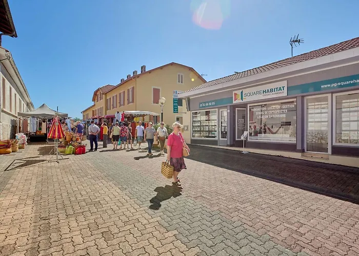 Spacieux T2 Renove Avec Balcon, Wifi Et Animaux Admis A - Fr-1-841-54 Barbotan-les-Thermes