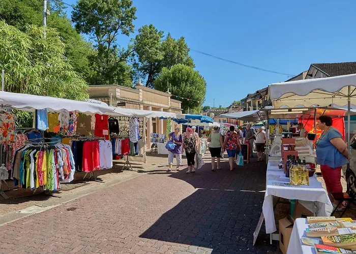 Spacieux T2 Renove Avec Balcon, Wifi Et Animaux Admis A - Fr-1-841-54 * Barbotan-les-Thermes