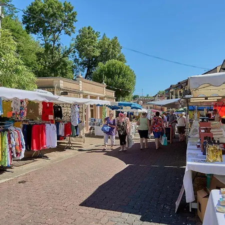 Spacieux T2 Renove Avec Balcon, Wifi Et Animaux Admis A - Fr-1-841-54 * Barbotan-les-Thermes