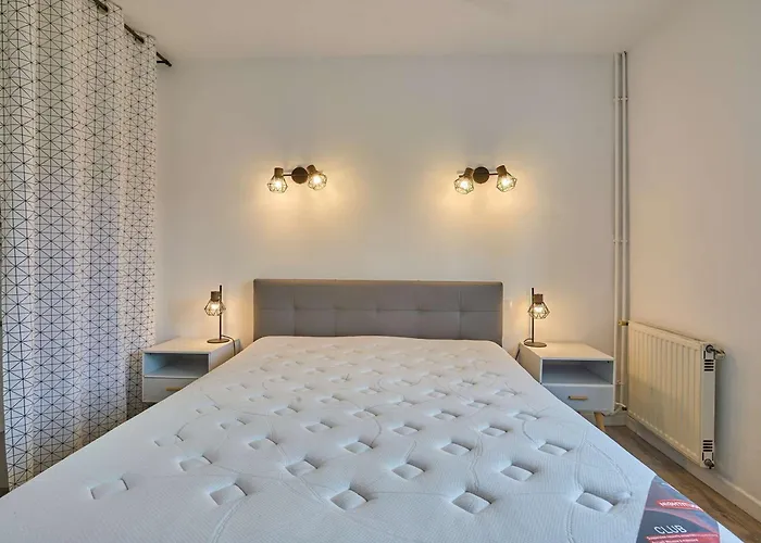 アパート Spacieux T2 Renove Avec Balcon, Wifi Et Animaux Admis A - Fr-1-841-54 *