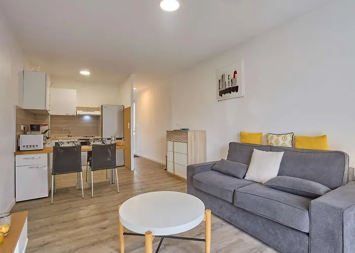 Spacieux T2 Renove Avec Balcon, Wifi Et Animaux Admis A - Fr-1-841-54